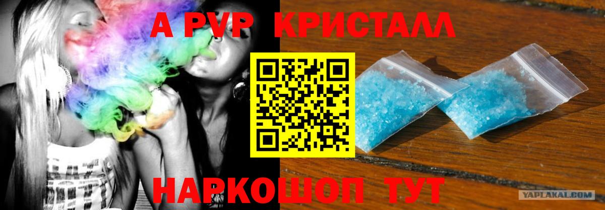 APVP СК Вологда