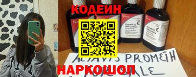 МДПВ Камышлов