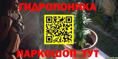 ешки Будённовск