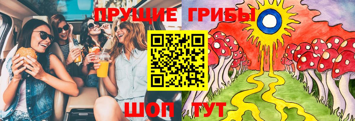 Вологда  Псилоцибиновые грибы GOLDEN TEACHER  Вход с VPN 